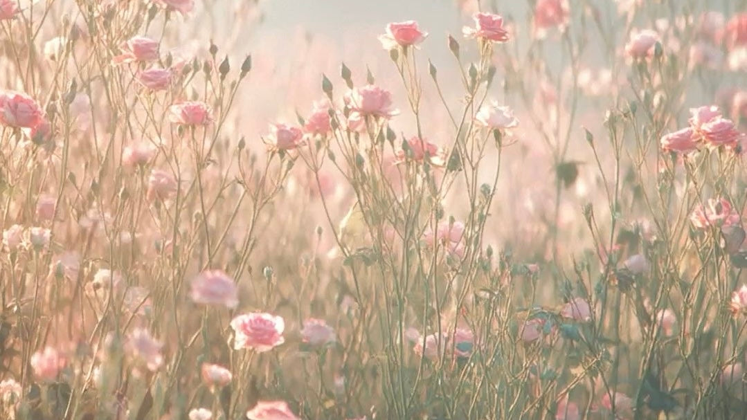 Handcrafted with Love